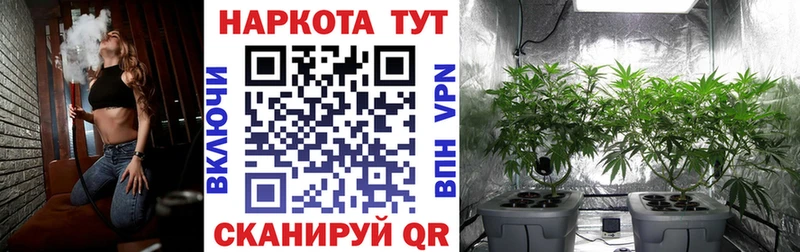 Наркошоп Славянск-на-Кубани ГАШ  LSD-25  Меф  Конопля  Кокаин  Alpha PVP  Псилоцибиновые грибы 