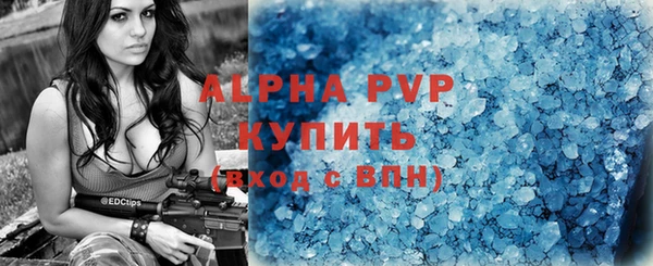 сатива Володарск