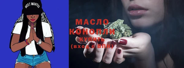 сатива Володарск