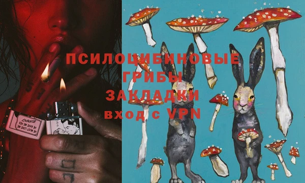 сатива Володарск