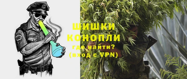 сатива Володарск