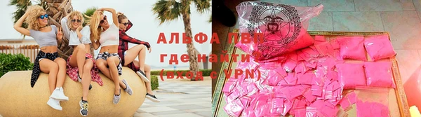 сатива Володарск