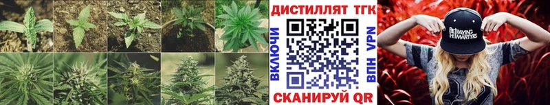 где купить   Славянск-на-Кубани  ТГК жижа 
