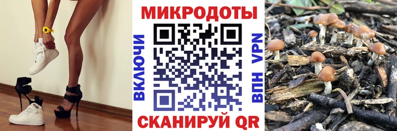 Псилоцибиновые грибы ЛСД Славянск-на-Кубани